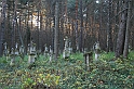 Rostoczek 11.2008 448